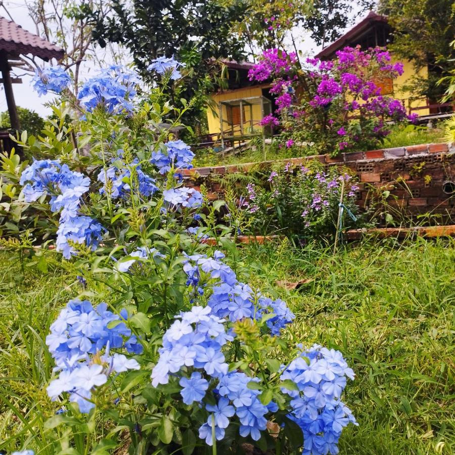 Brown House Resort Can Tho Luaran gambar
