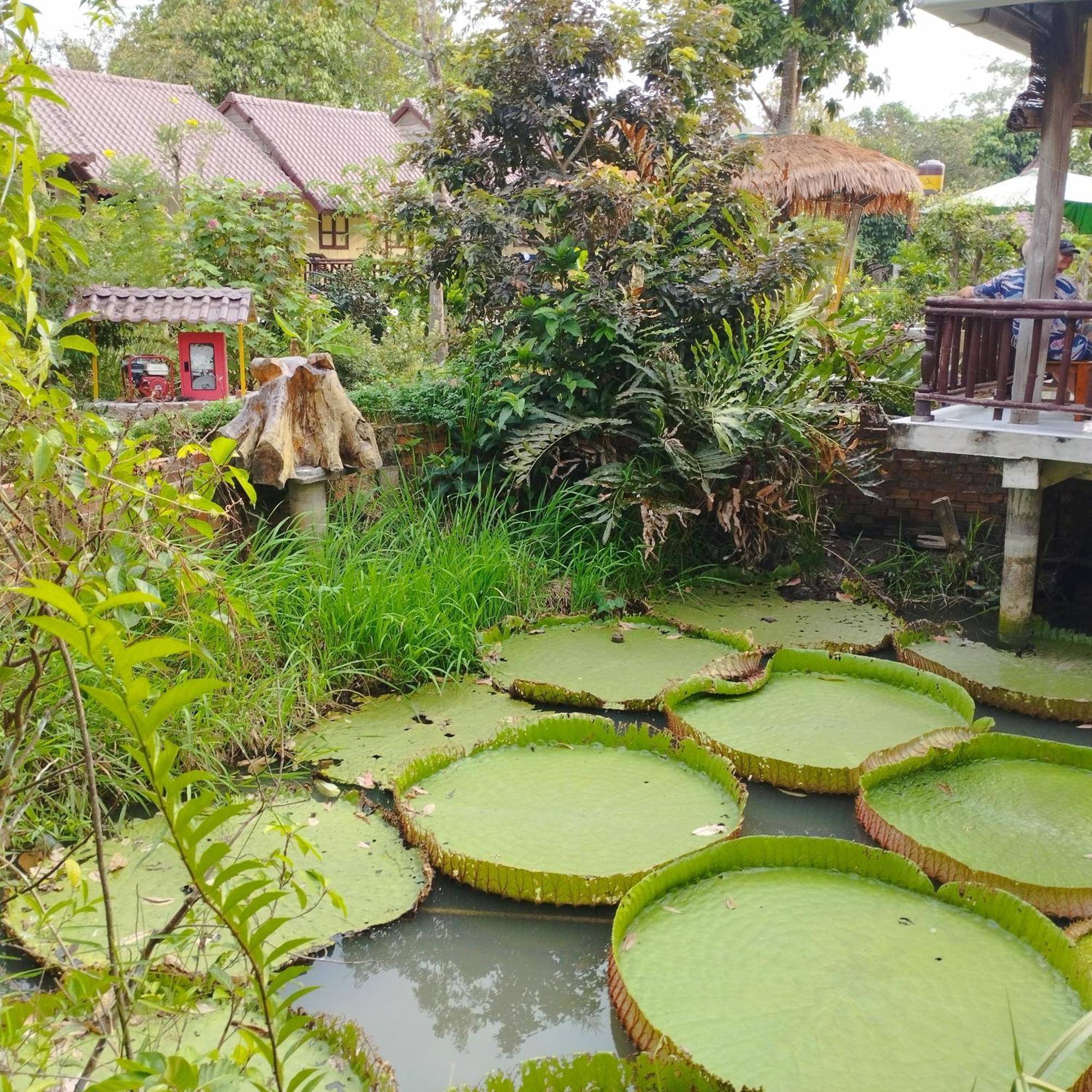 Brown House Resort Can Tho Luaran gambar